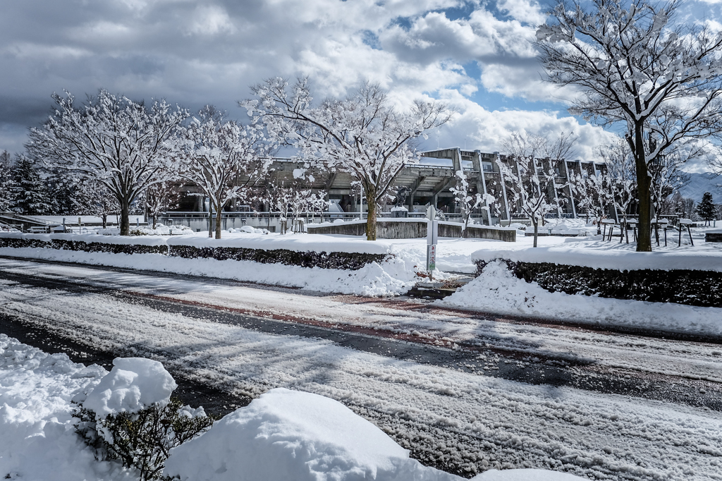 雪景色