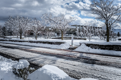 雪景色