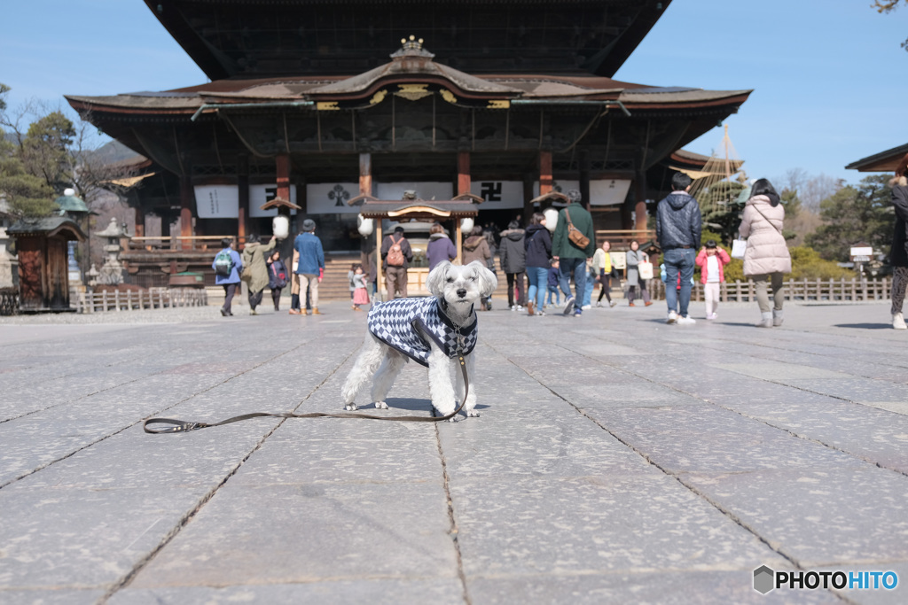 お参り終えて