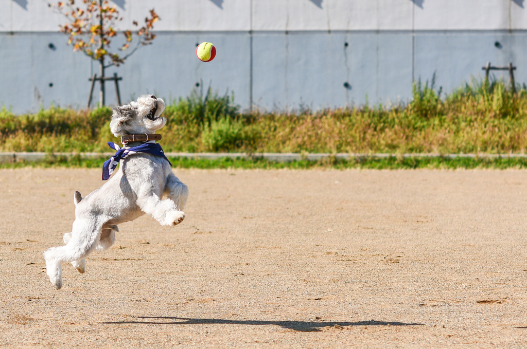 Jump