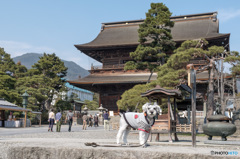 善光寺山門前