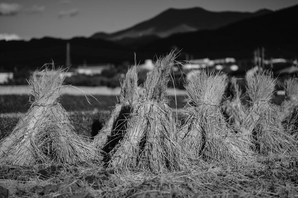 夕暮れ