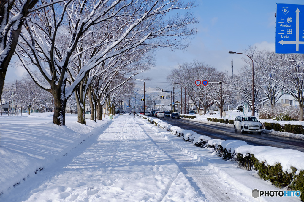 雪の散歩道
