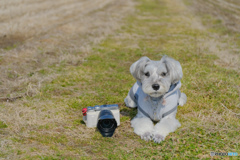 僕のカメラ