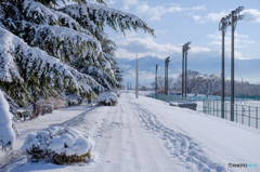 雪の公園