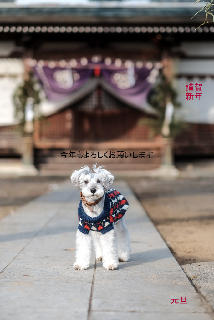 謹賀新年