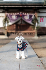 謹賀新年