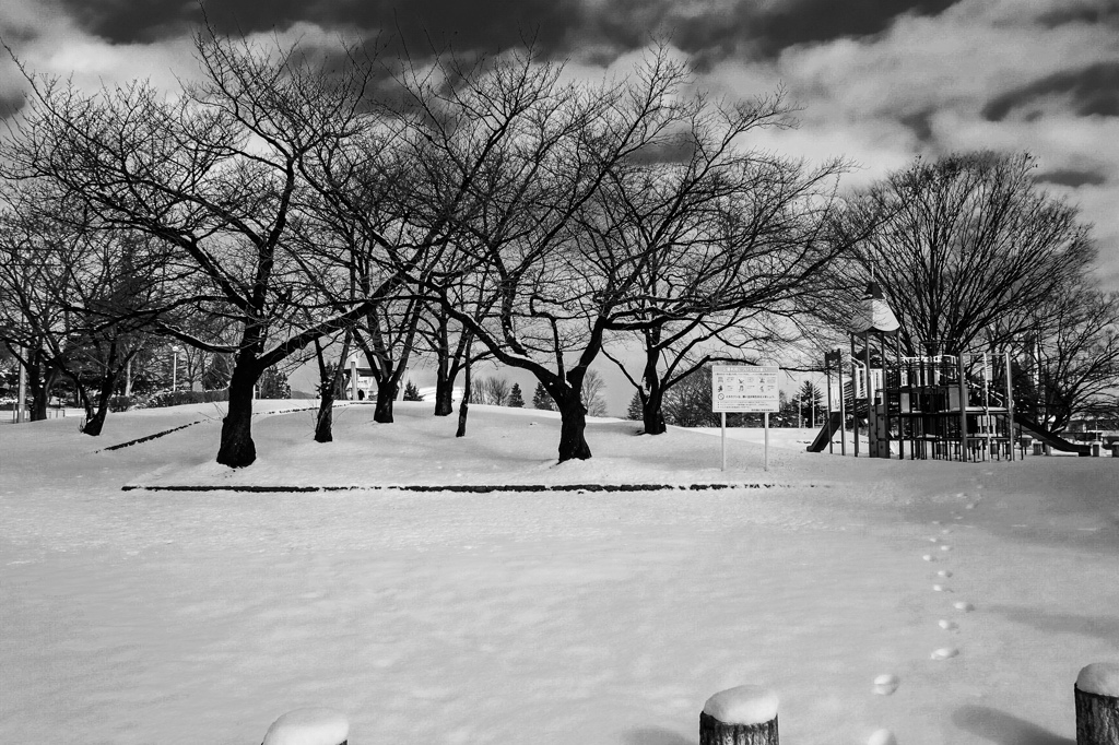 雪の公園（誰かの足跡）