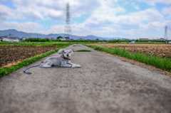 休息