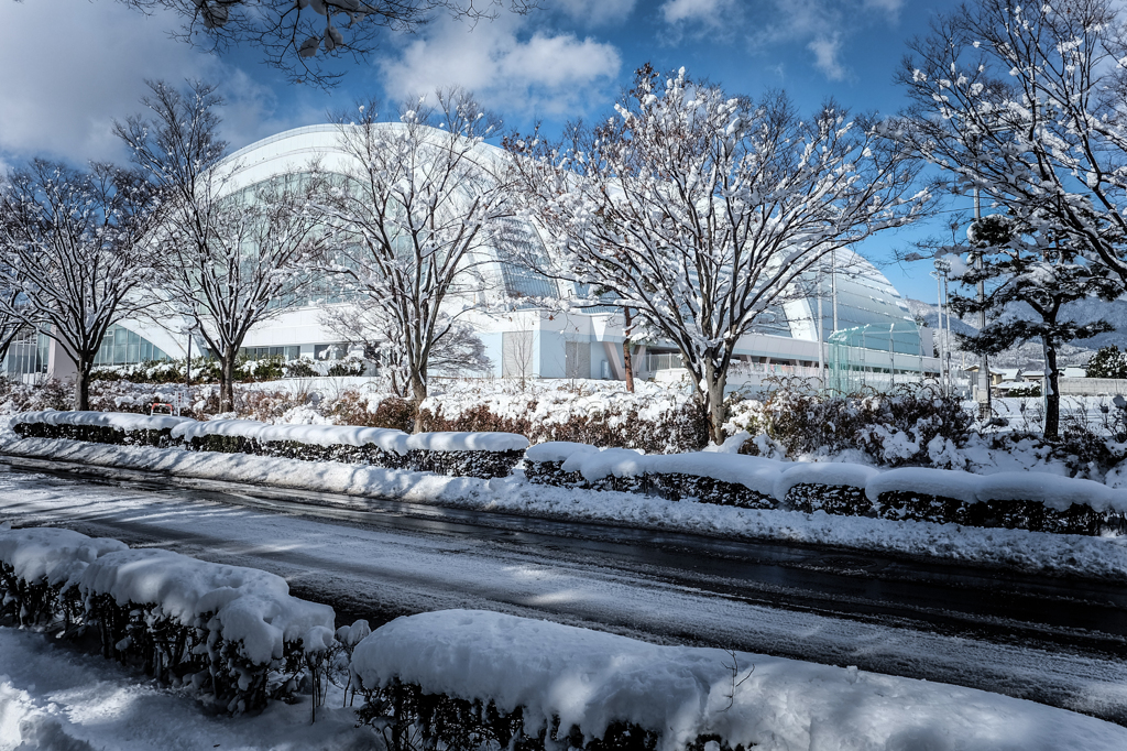 アクアウィングと雪景色