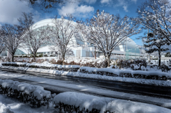 アクアウィングと雪景色