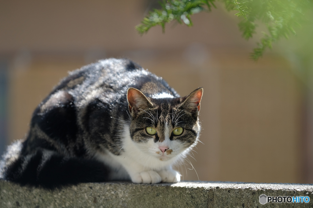 おかえり