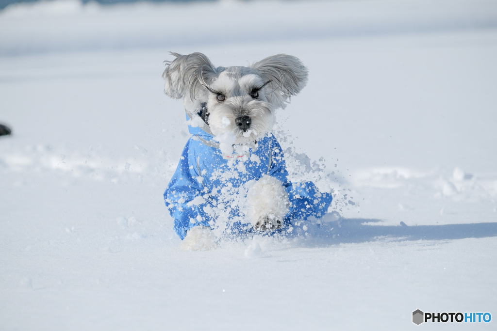 雪遊び②