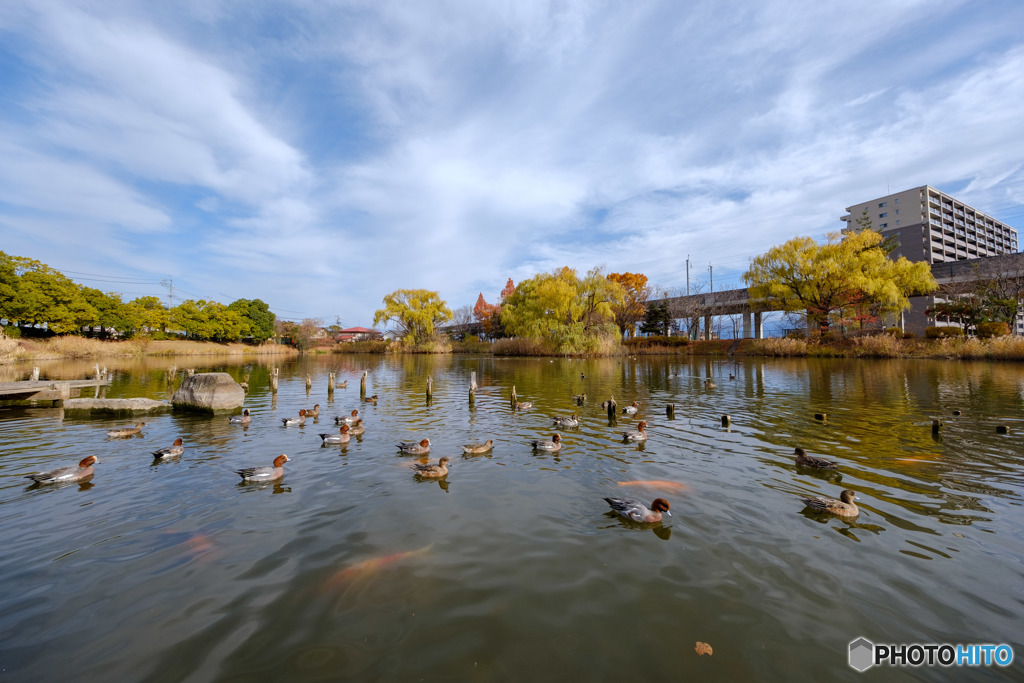 辰巳公園