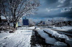 雪の散歩道Ⅲ