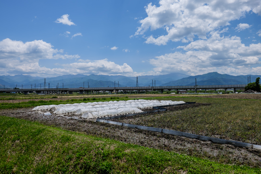 入水を待つ風景