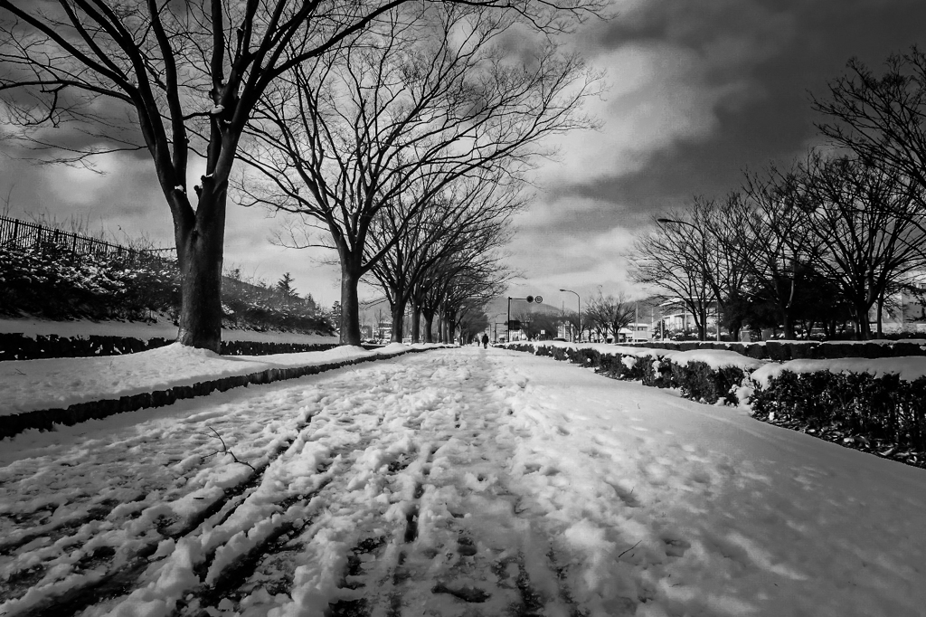 雪の散歩道　（足跡）