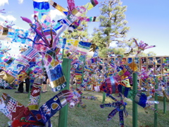 ペットボトルフラワー１