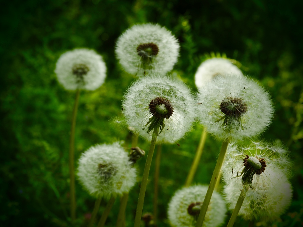 Waiting for departure