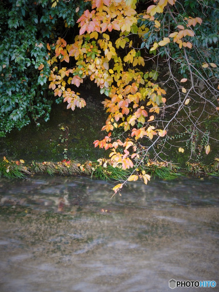 Flow
