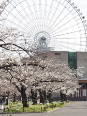 Ferris wheel
