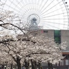 Ferris wheel