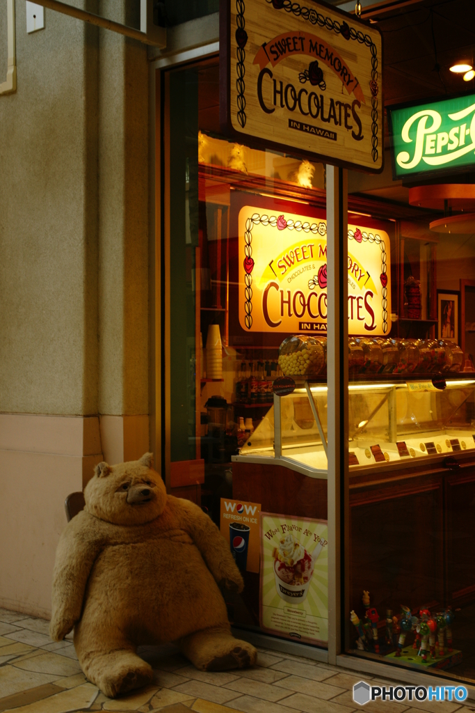 Sales Bear