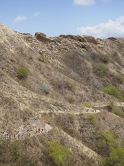 Trail-Diamond Head