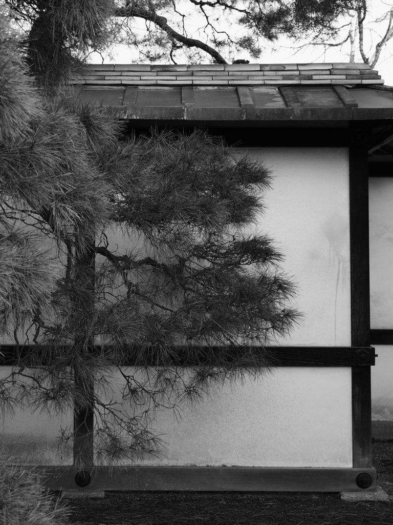 BW - 松