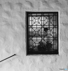 BW - window