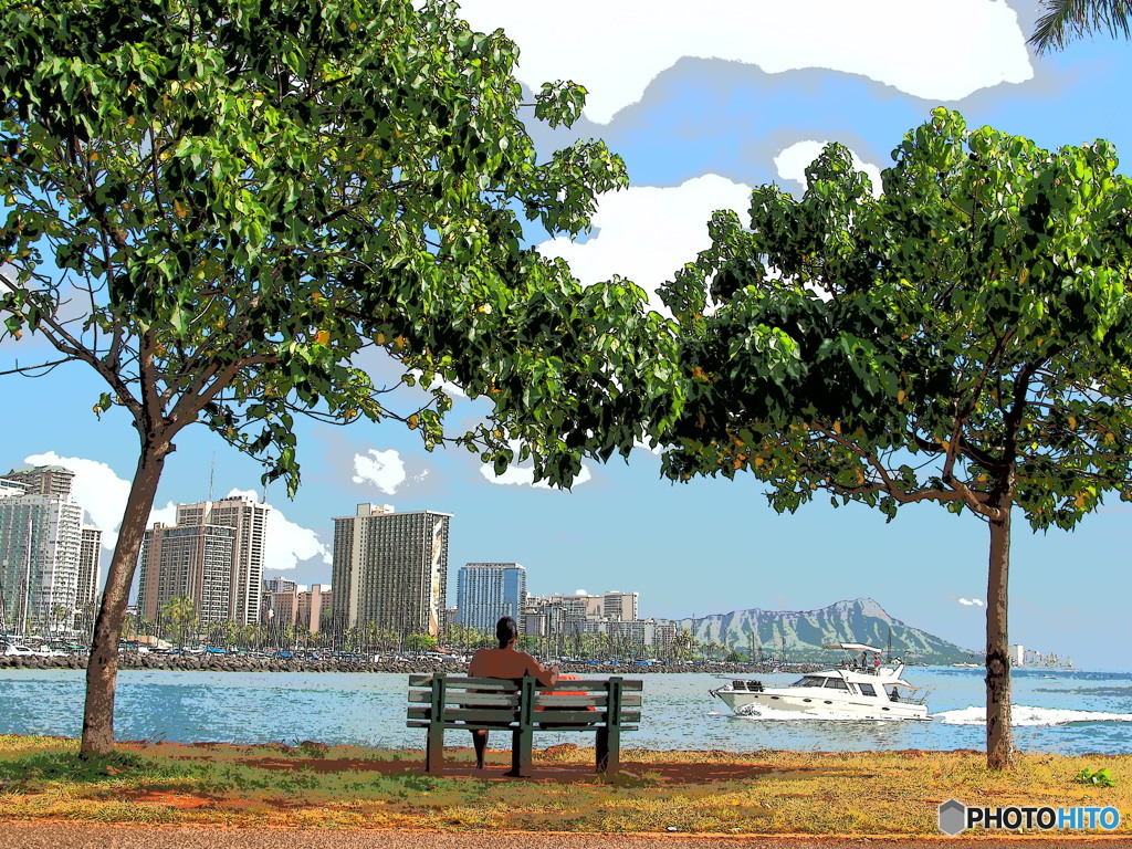 Hawaiian Holiday