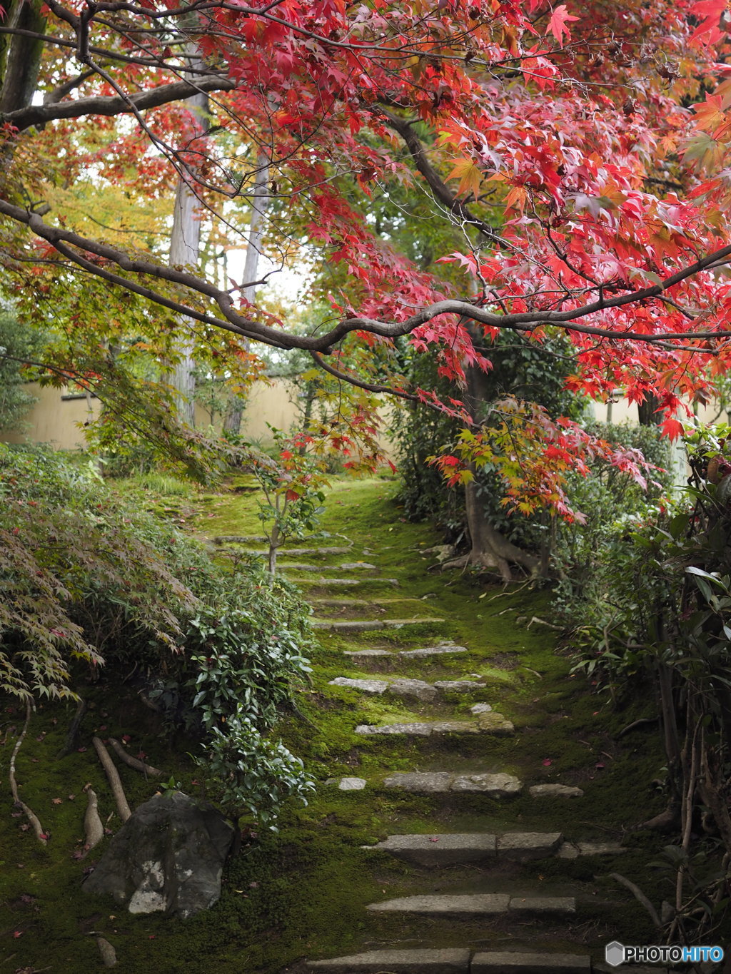 Steps