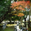 二輪ある風景