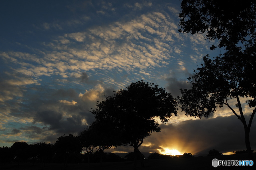 公園の夕暮れ