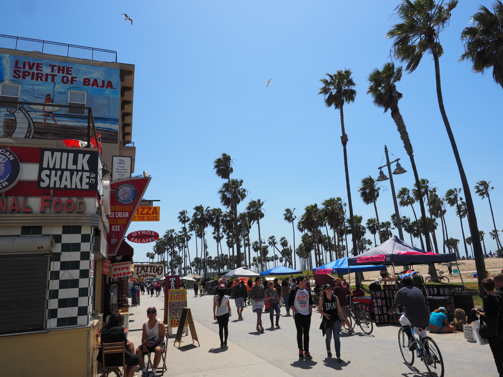 Venice Beach Walking