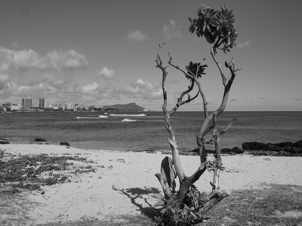 BW - Beach