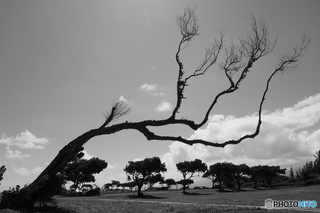 BW - Untitled