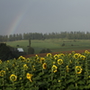 Rainbow watchers