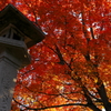紅葉時　旭川・常盤公園20141012-02