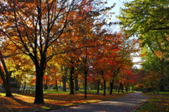 紅葉時　旭川・常盤公園20141012-01