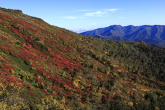 秋深まる銀泉台