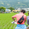 紫陽花と田んぼと若い夫婦