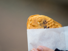 taiyaki