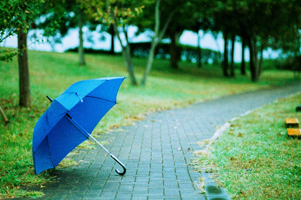 雨が降るから