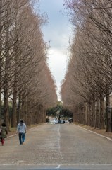 冬の散歩道