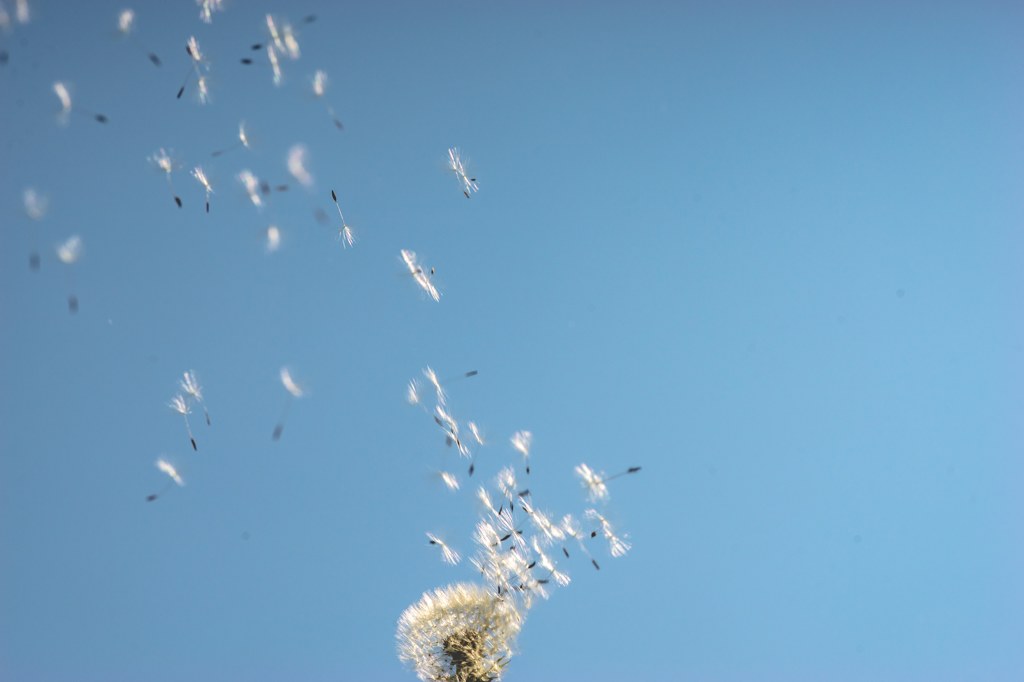 空が受け止めてくれるから、身を委ねてもいいと思った。