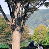小春日和
