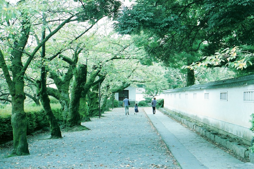 団欒
