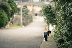 気ままに 