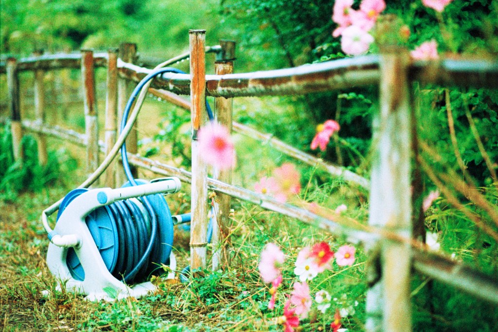お水をあげて
